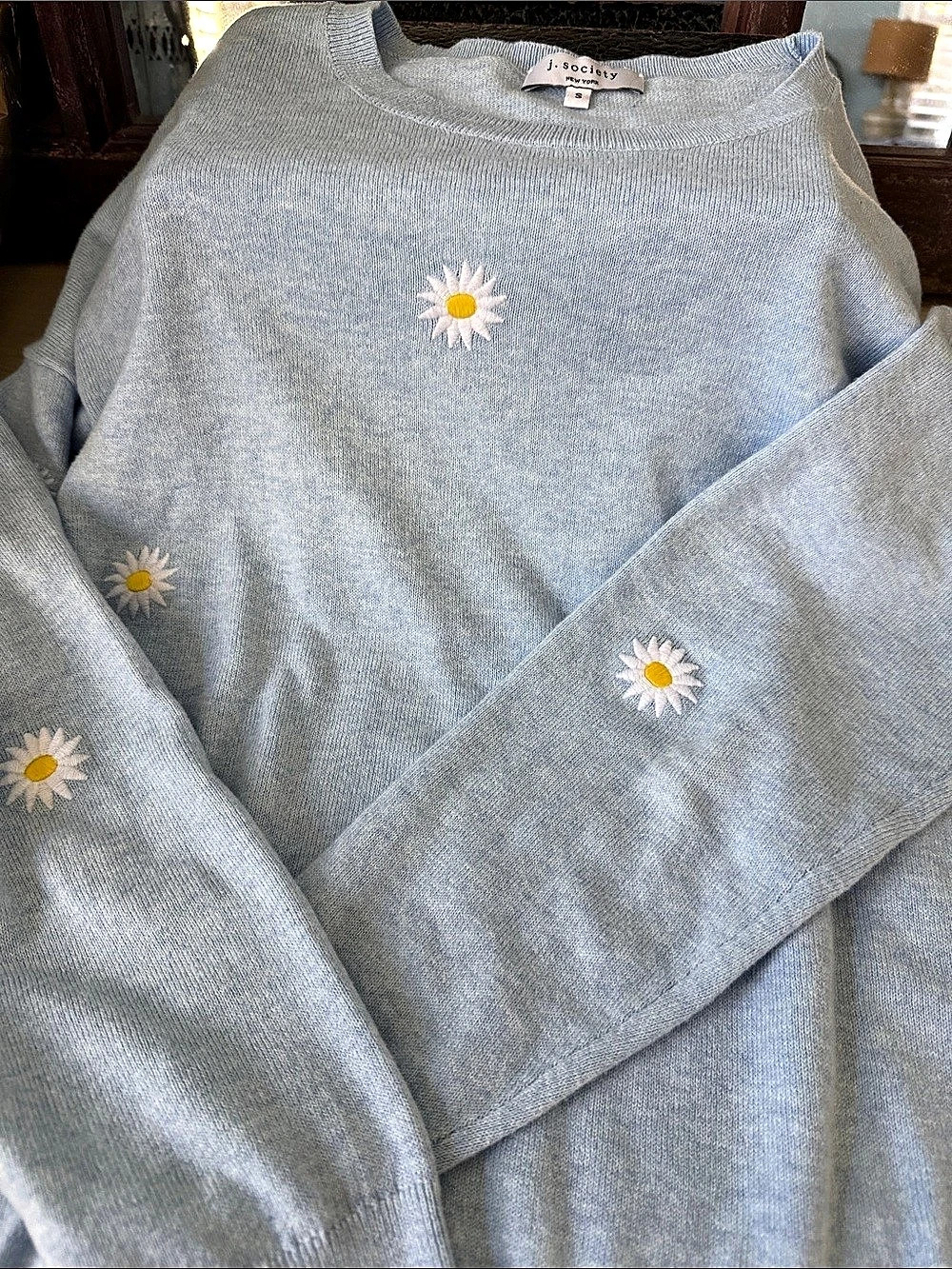 j. society Daisy Embroidered Sweater in Blue Size Small Like New